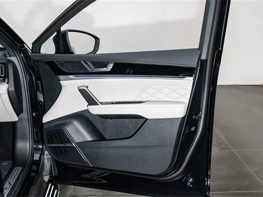 BYD TANG NEW ENERGY 2025