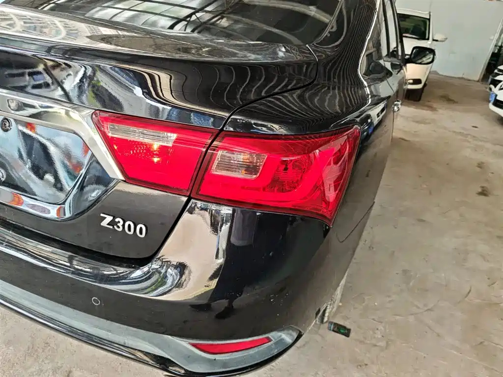 ZOTYE Z300 2016