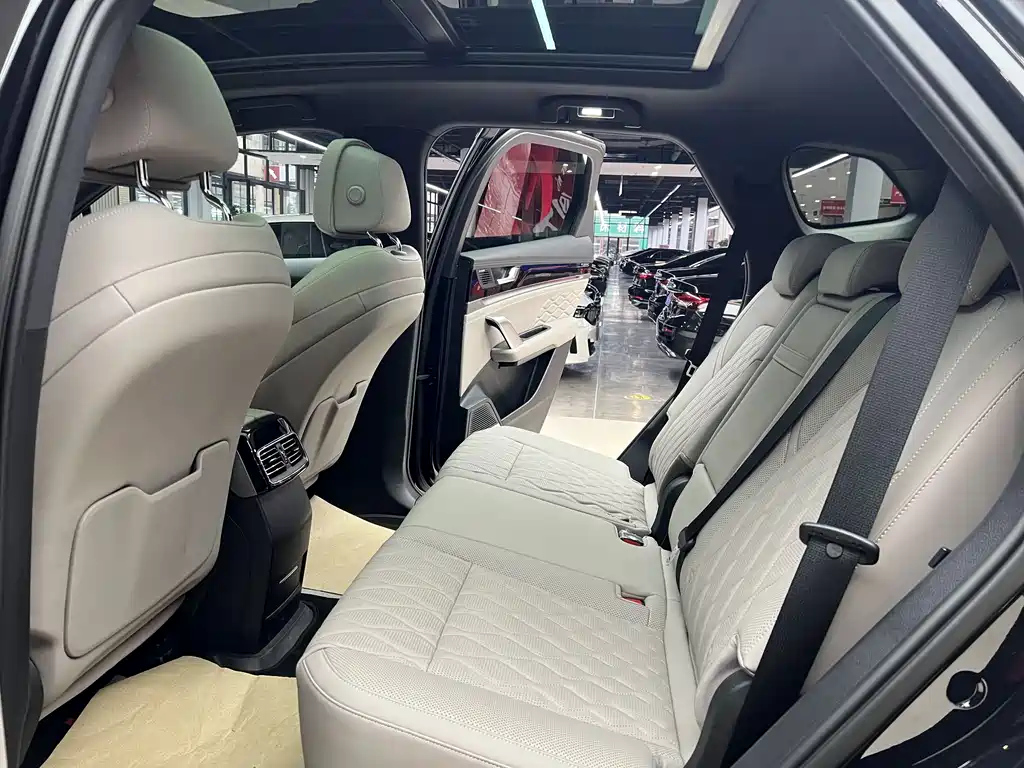 BYD TANG NEW ENERGY 2025