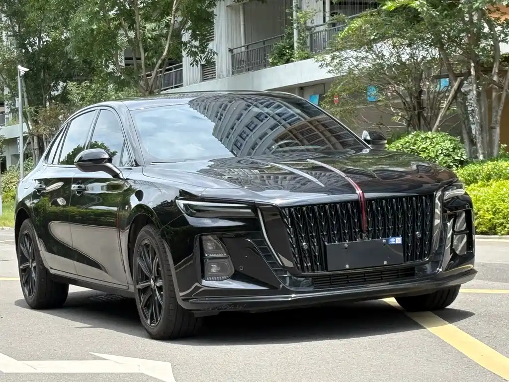 HONGQI H5 2024