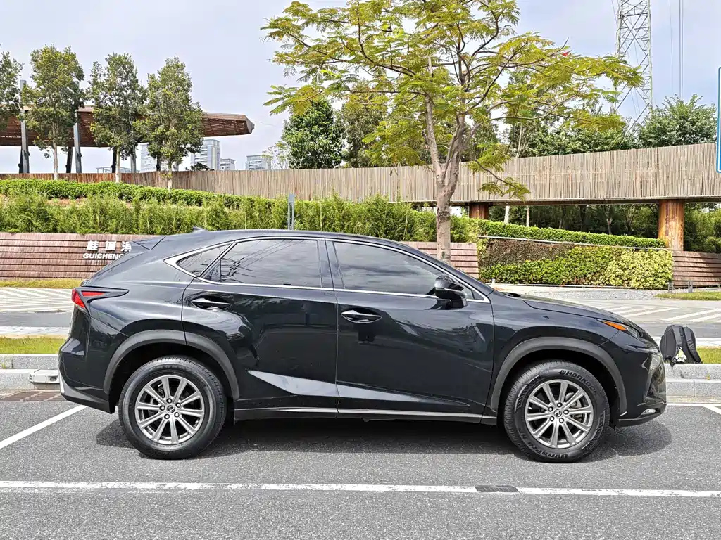 LEXUS NX 2020