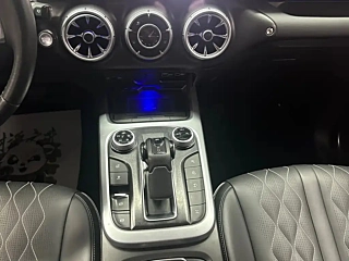 TANK 300  2021 YEAR  EDITION 2.0T CHALLENGER 2021
