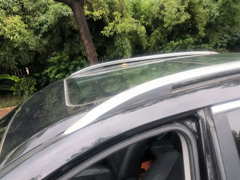 LEOPAARD CS10 2017
