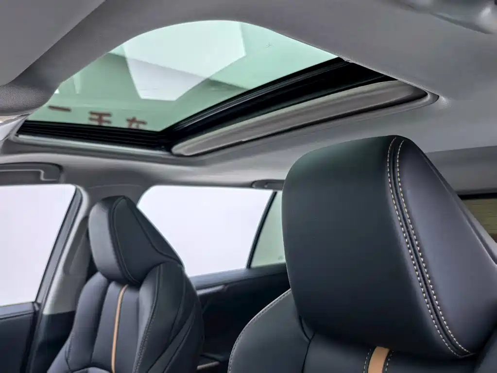 TOYOTA WILDLANDER 2024