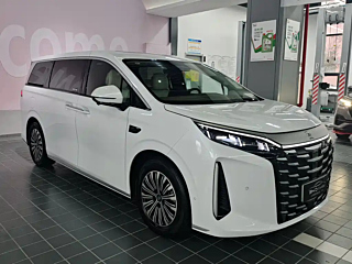 BYD &#22799;  2025