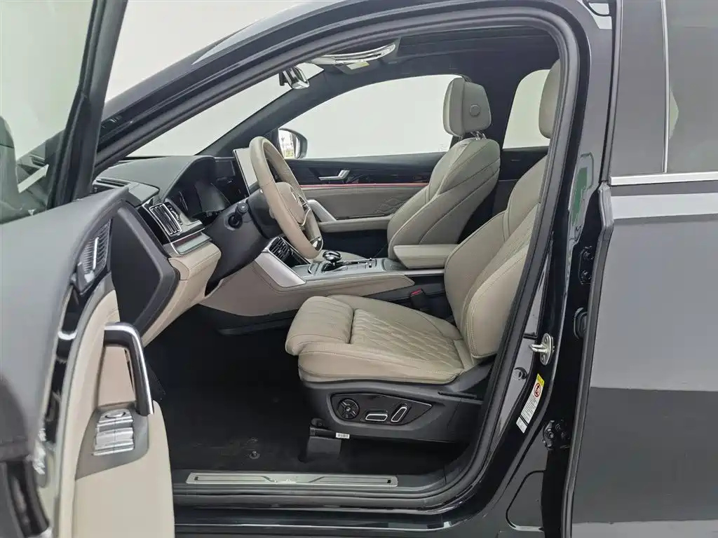 BYD TANG NEW ENERGY 2024