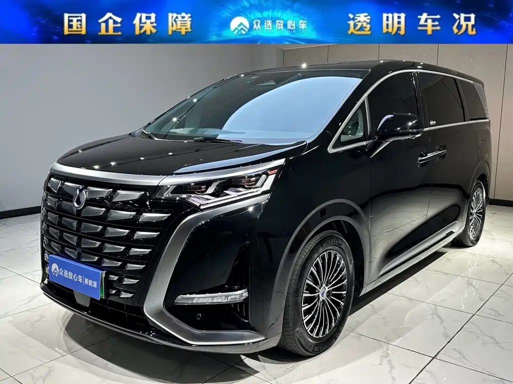 Аукционный лист DENZA D9 2023