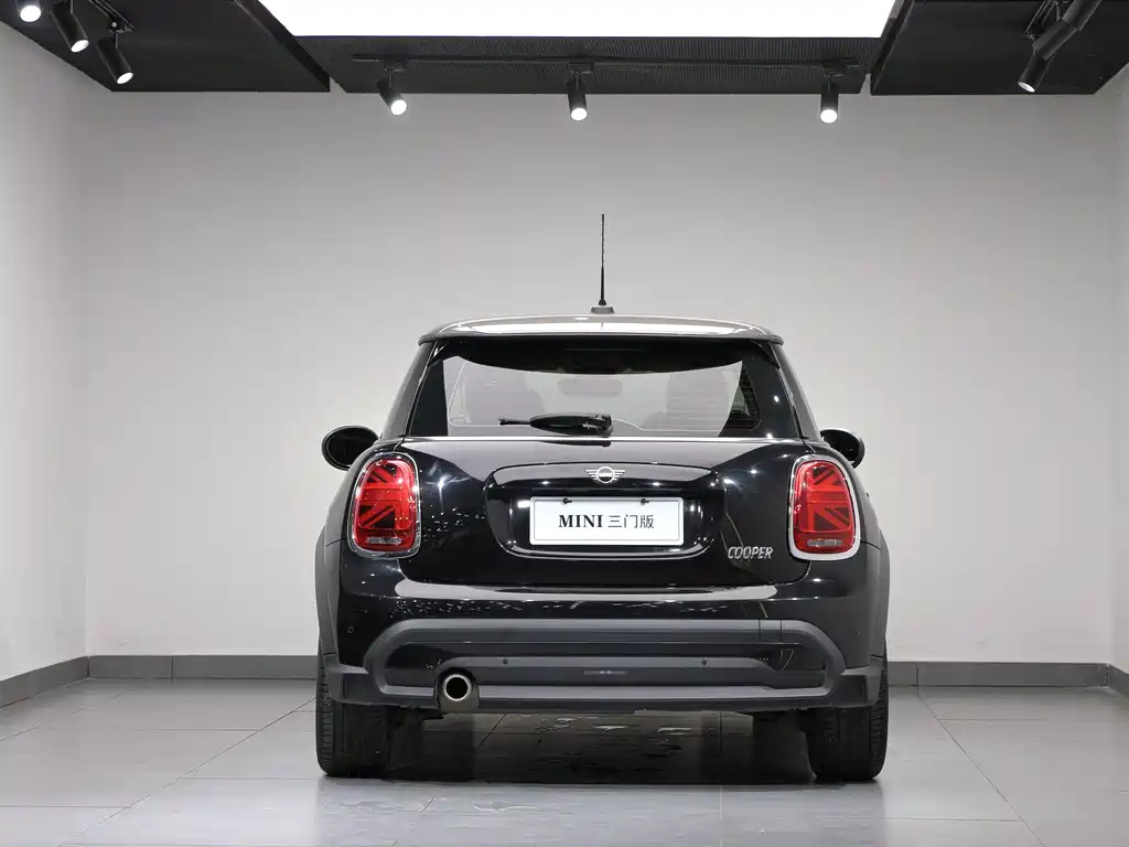 MINI OTHER 2021