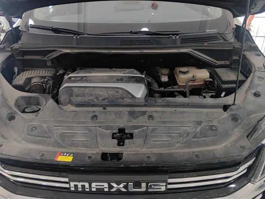 MAXUS OTHER 2021