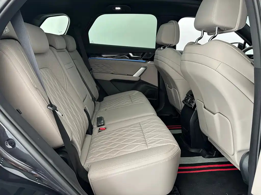 BYD TANG NEW ENERGY 2025