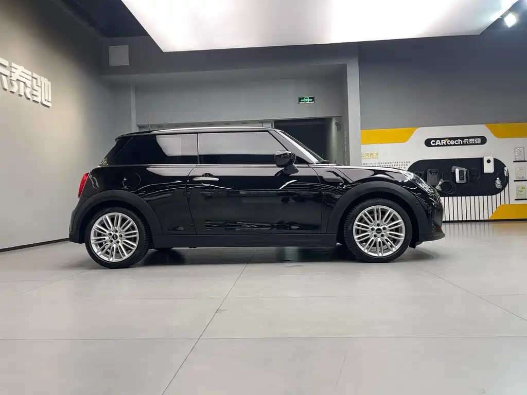 MINI OTHER 2021