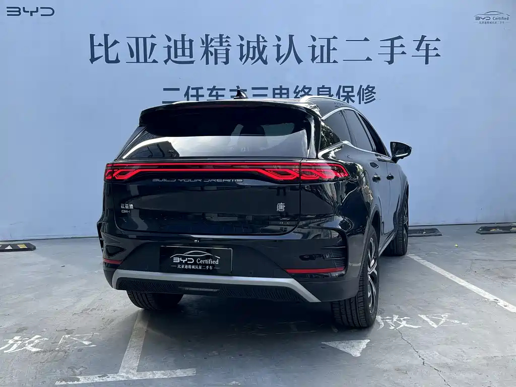 BYD TANG NEW ENERGY 2024