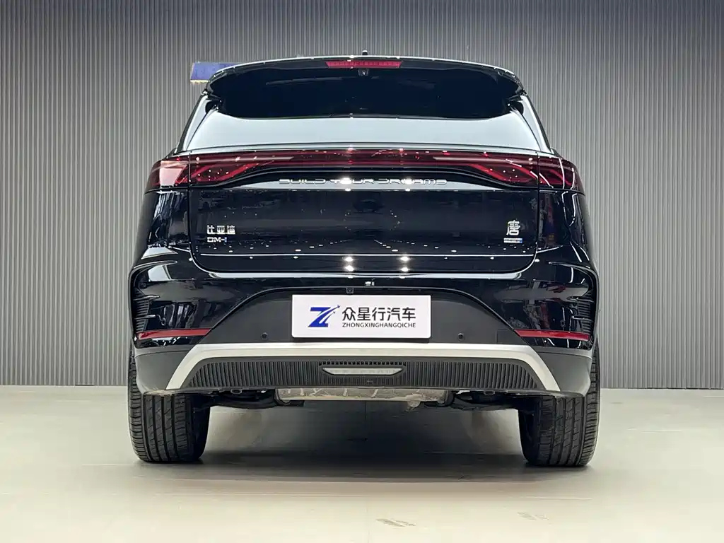 BYD TANG NEW ENERGY 2025