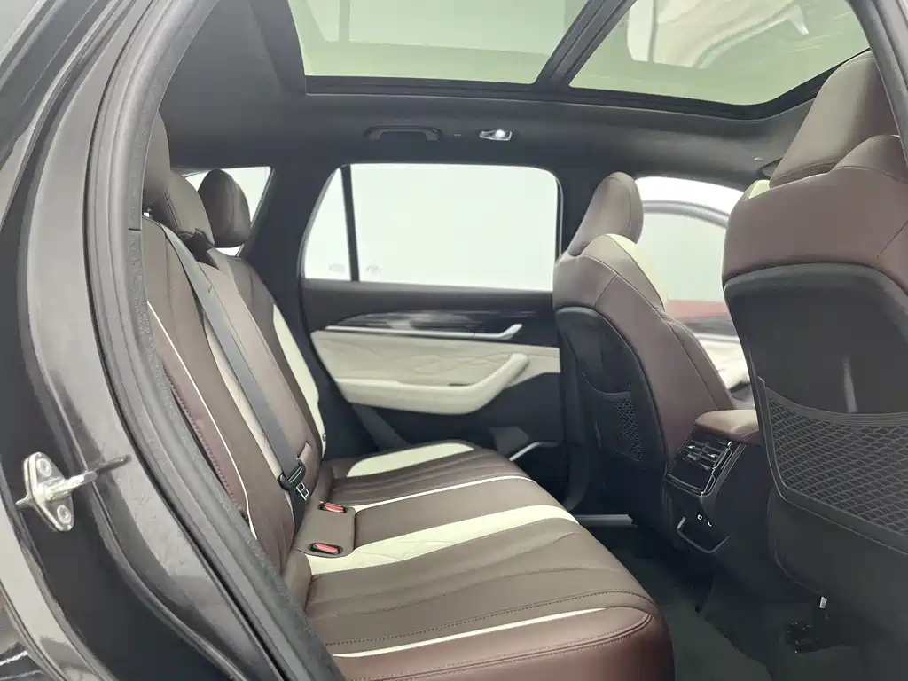 GEELY AUTO MONJARO 2021