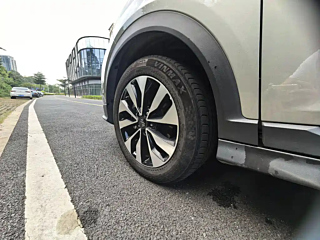 WELTMEISTER EX5 2020 YEAR EX5-Z FUN POWER EDITION 2020