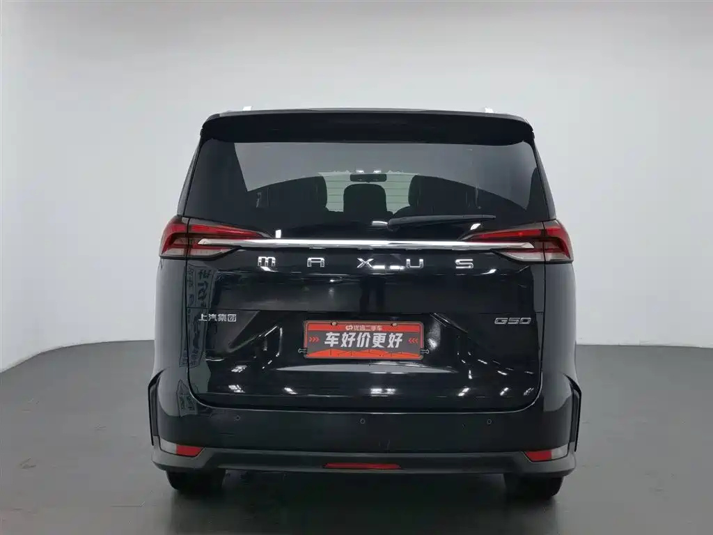 MAXUS OTHER 2019