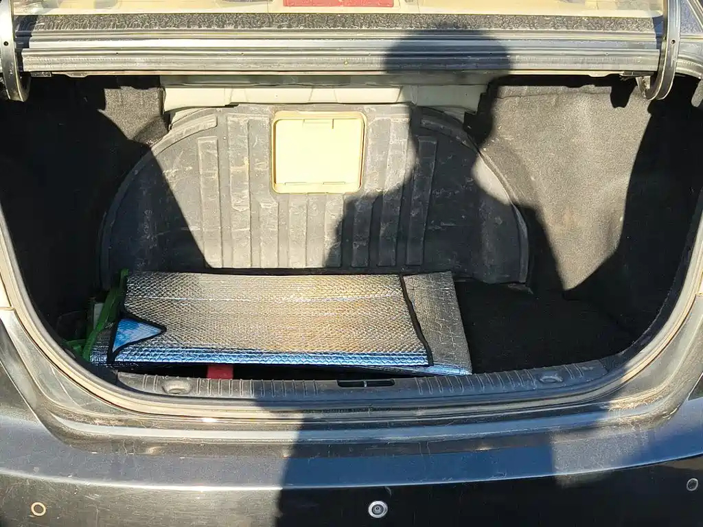 HYUNDAI CELESTA 2009