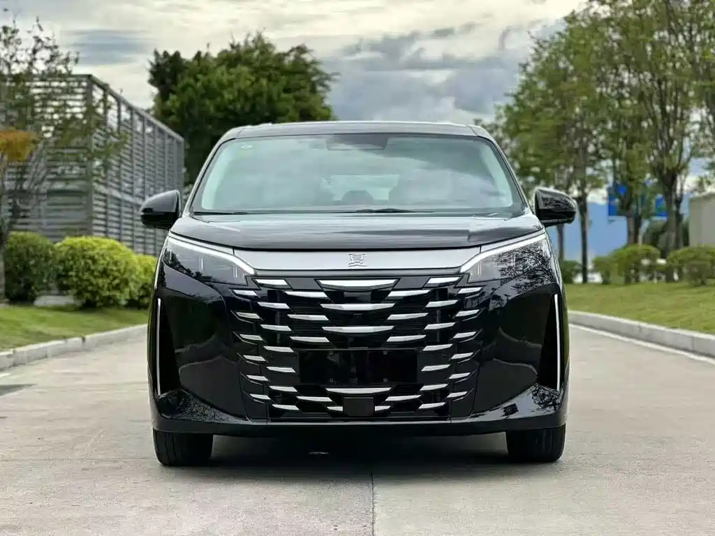 BYD XIA 2025