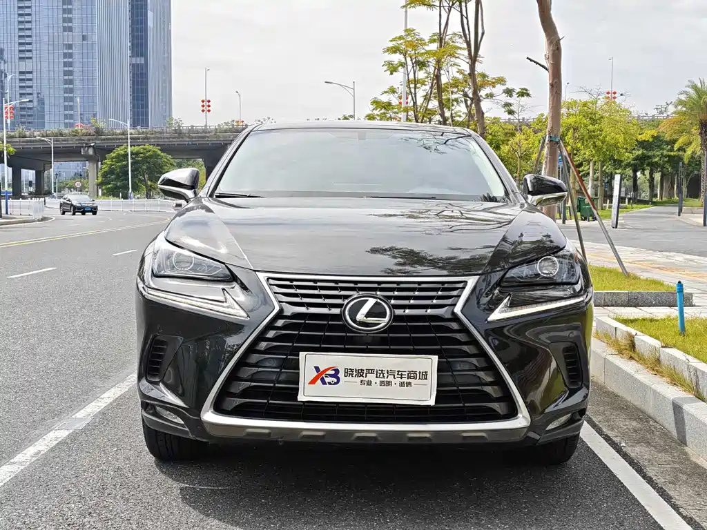 LEXUS NX 2020