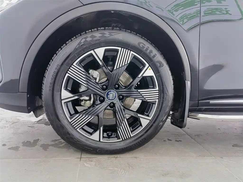 BYD TANG NEW ENERGY 2024