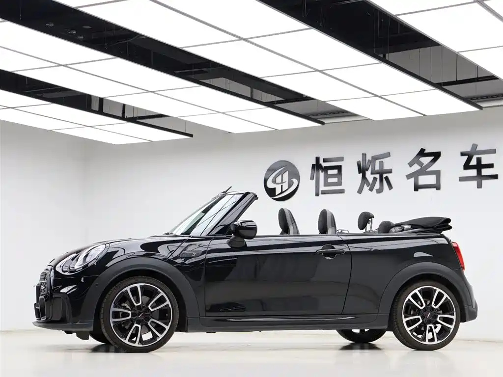 MINI OTHER 2022