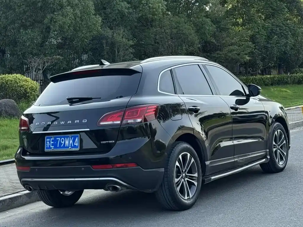 BORGWARD BX7 2016