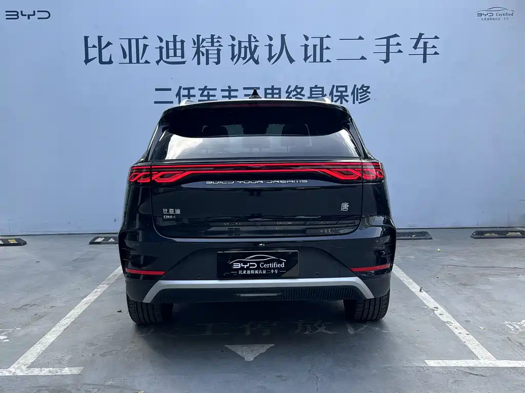 BYD TANG NEW ENERGY 2024