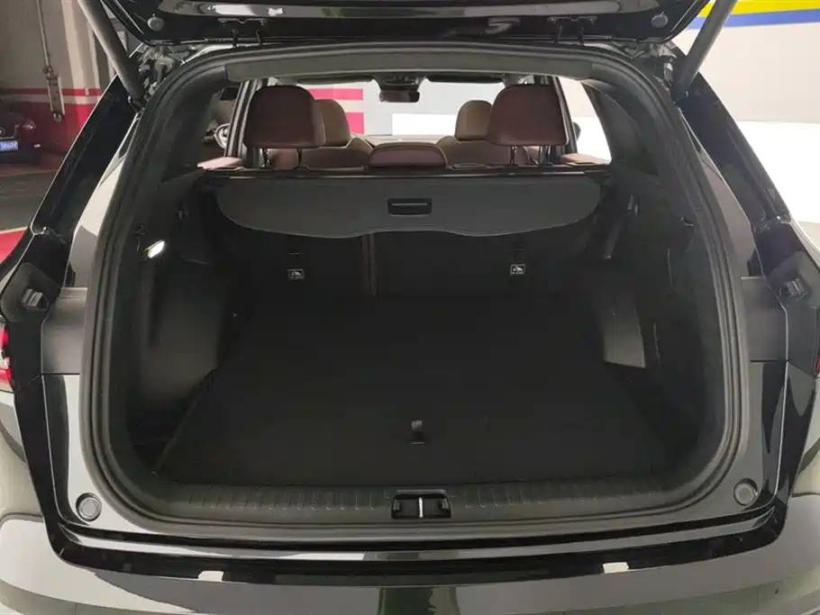 GEELY AUTO MONJARO 2021