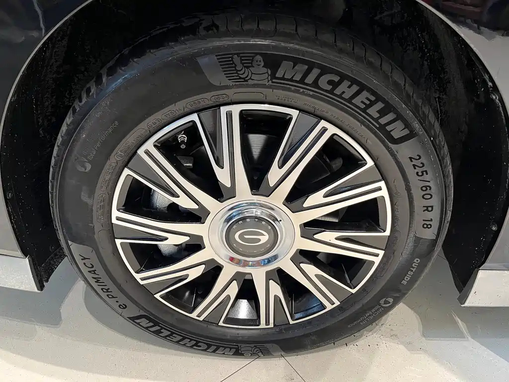 TRUMPCHI E9 2024