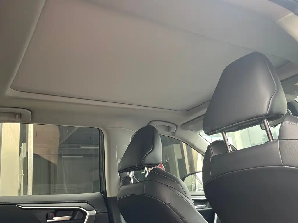 TOYOTA WILDLANDER 2024