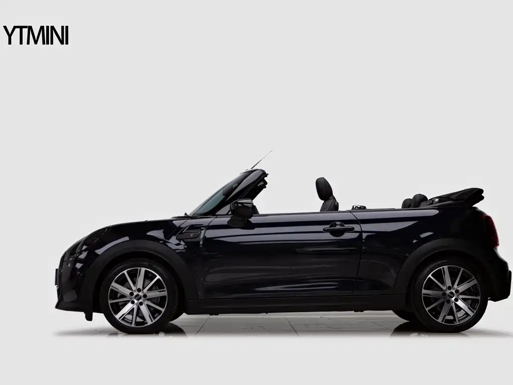 MINI OTHER 2022