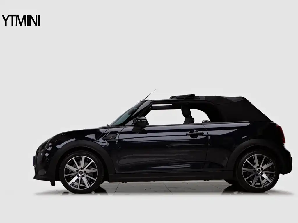 MINI OTHER 2022