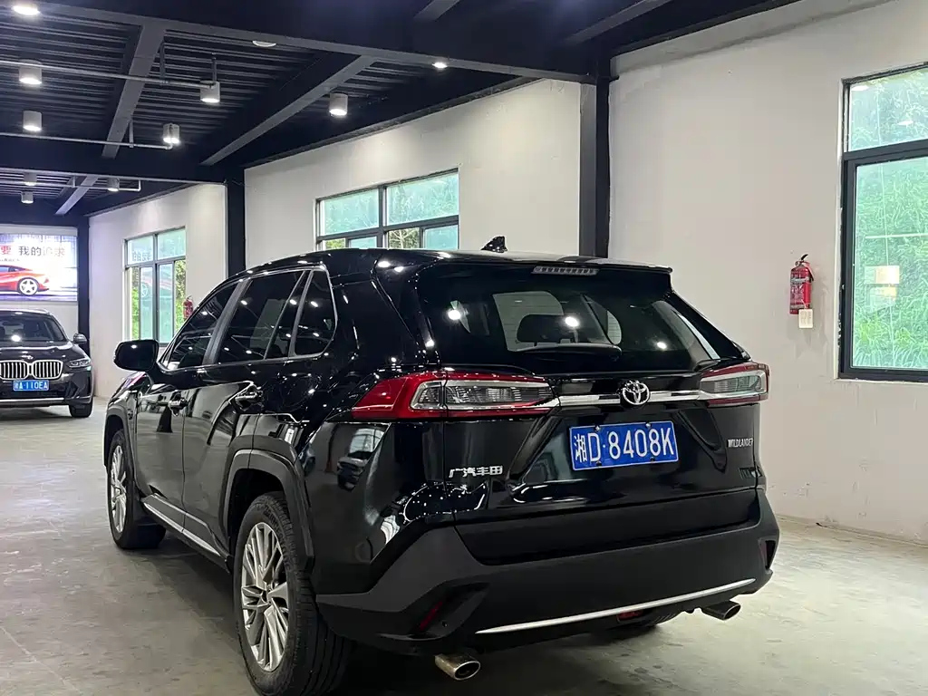 TOYOTA WILDLANDER 2020