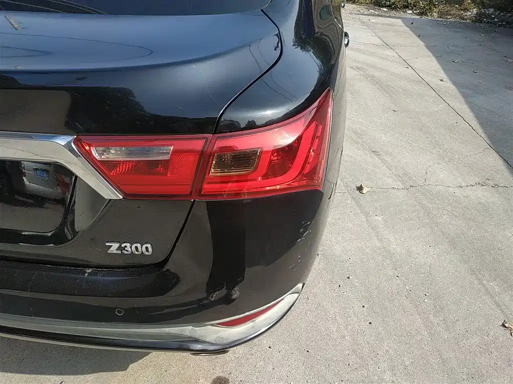 ZOTYE Z300 2016