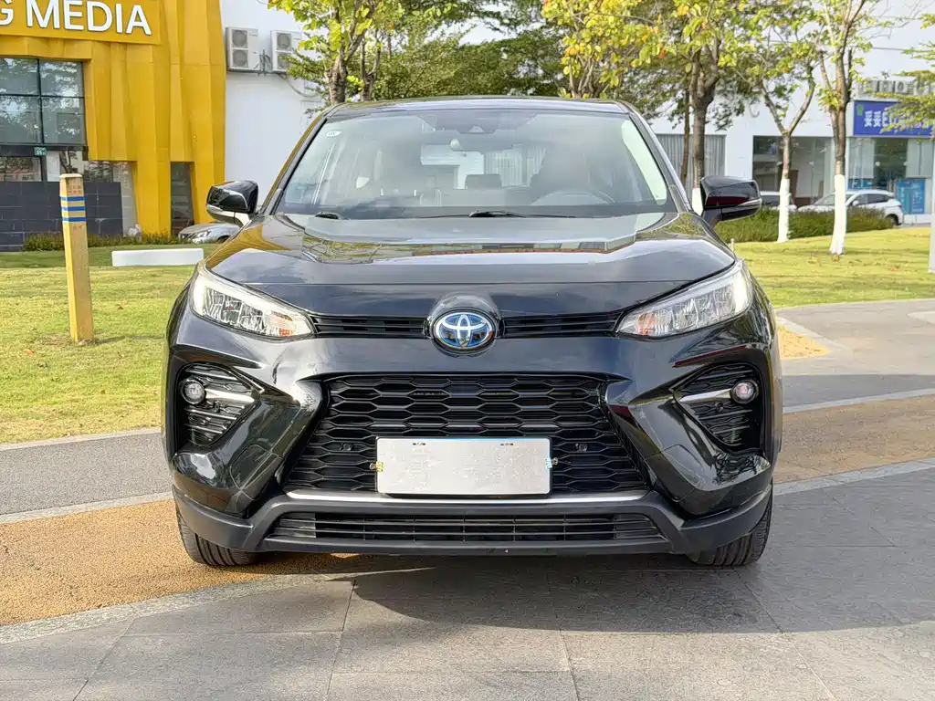 TOYOTA WILDLANDER 2020