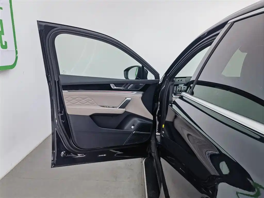 BYD TANG NEW ENERGY 2024