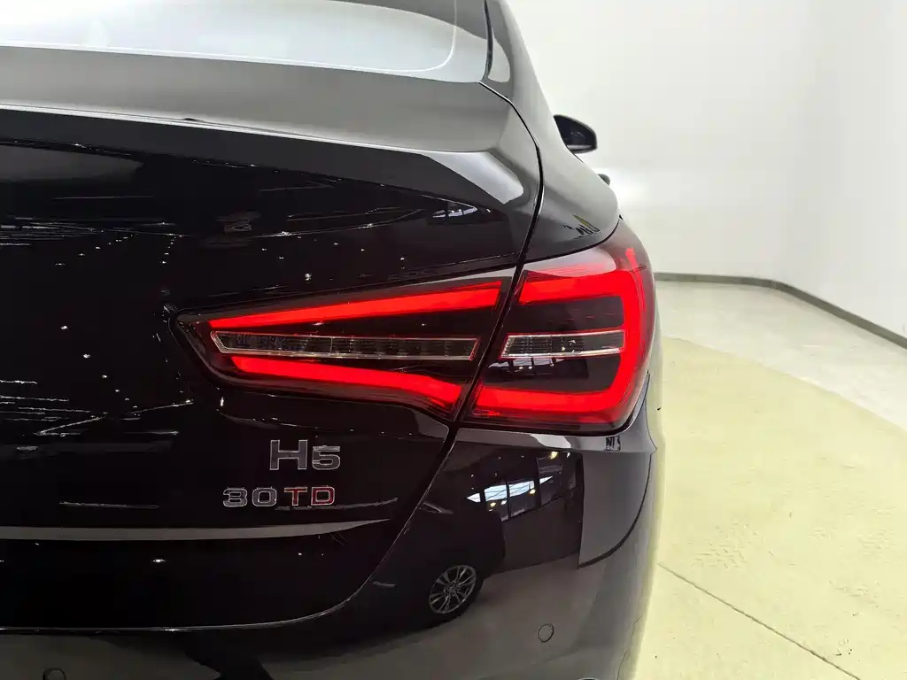 HONGQI H5 2021