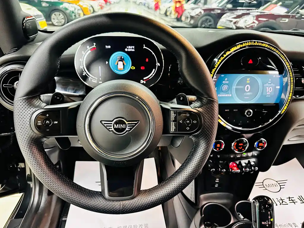 MINI OTHER 2023