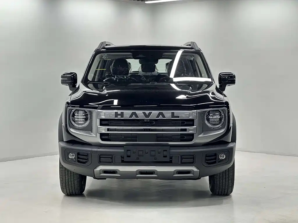 HAVAL BIG DOG 2024
