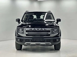HAVAL BIG DOG 2024