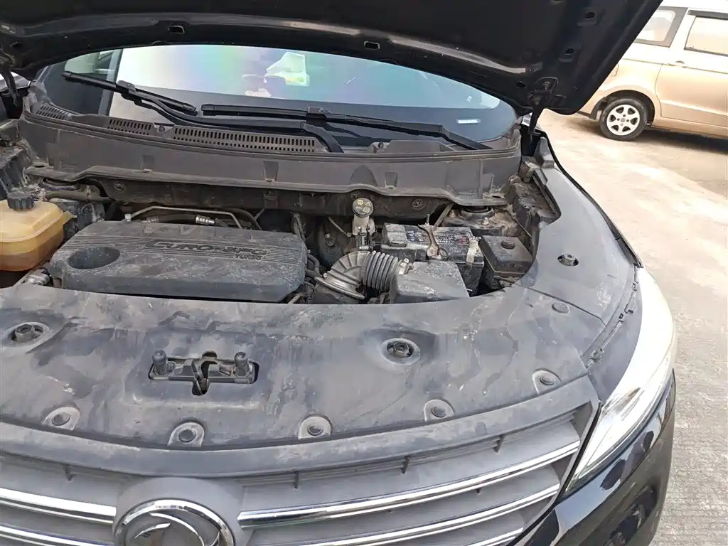 DONGFENG SCENERY 580 2020