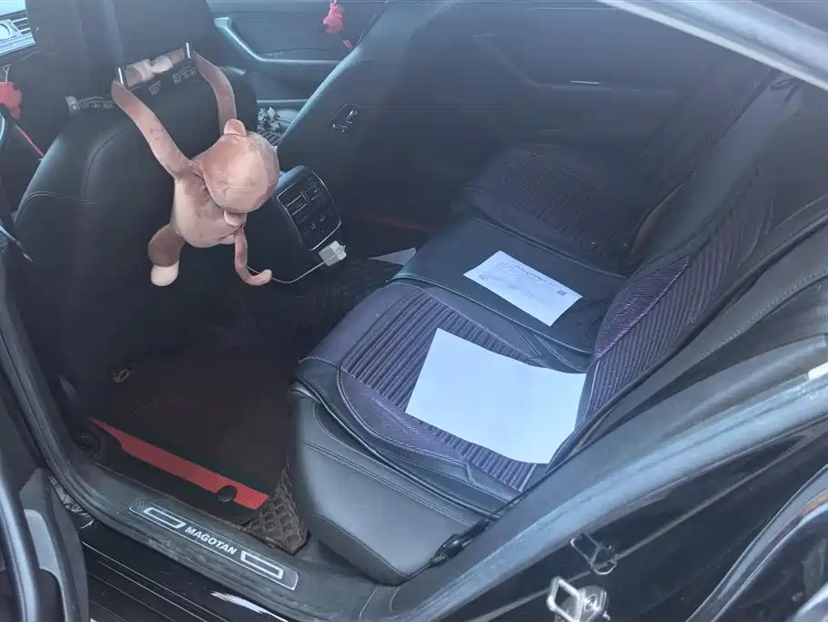 VOLKSWAGEN MAGOTAN 2019