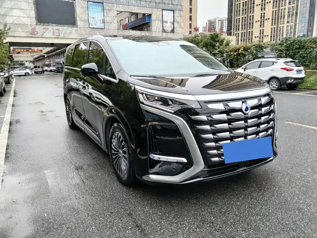 Аукционный лист DENZA D9 2024