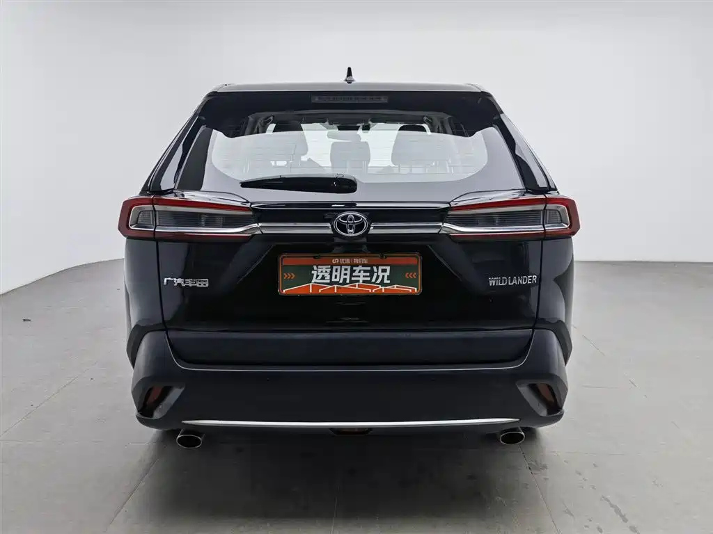 TOYOTA WILDLANDER 2023