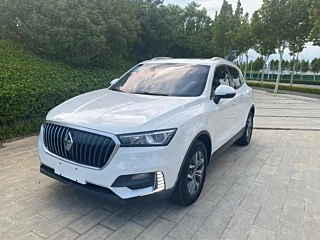 Заказать BORGWARD BX5