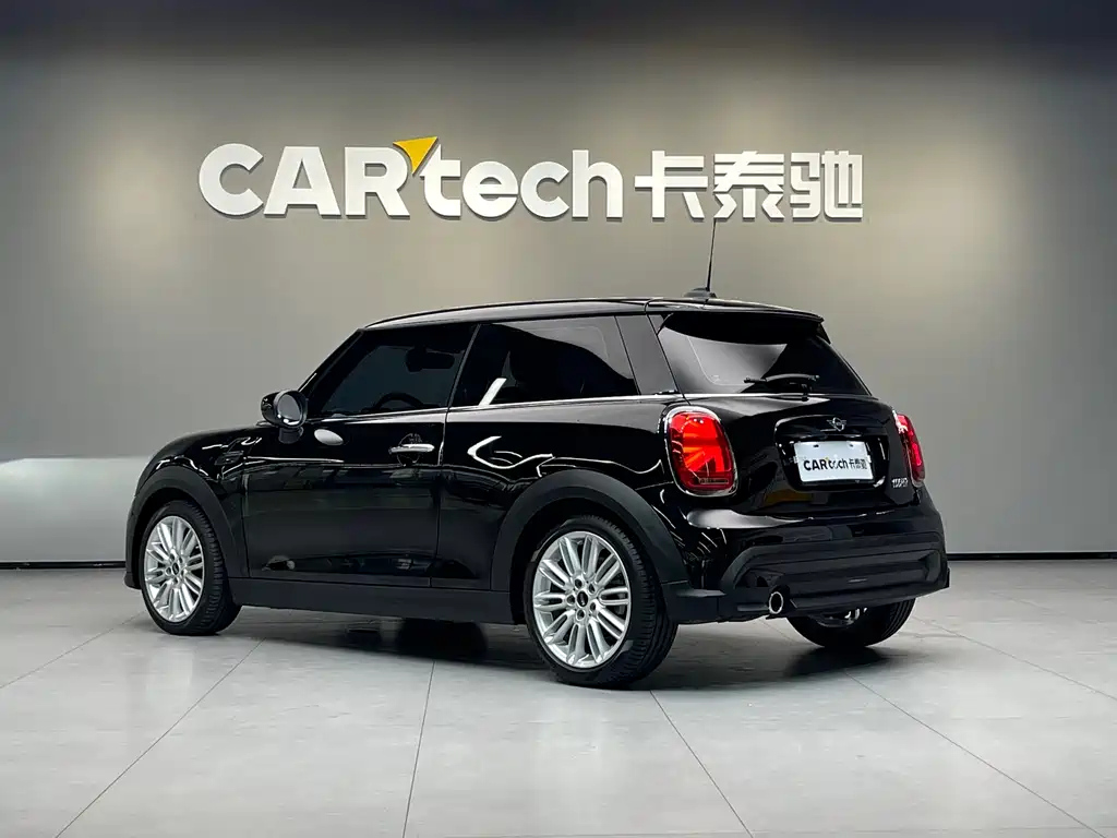 MINI OTHER 2021