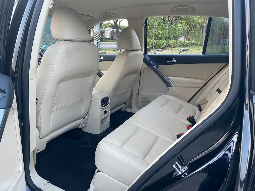 VOLKSWAGEN TIGUAN 2010