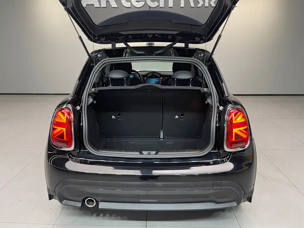 MINI OTHER 2021