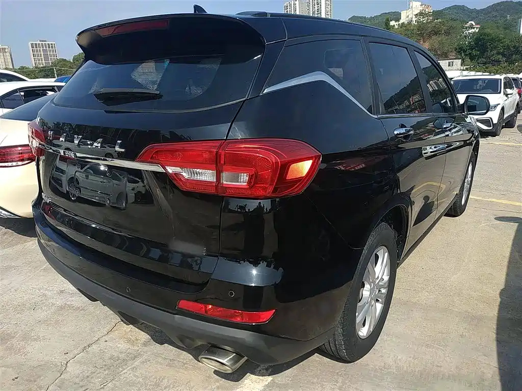 HAVAL M6 2019