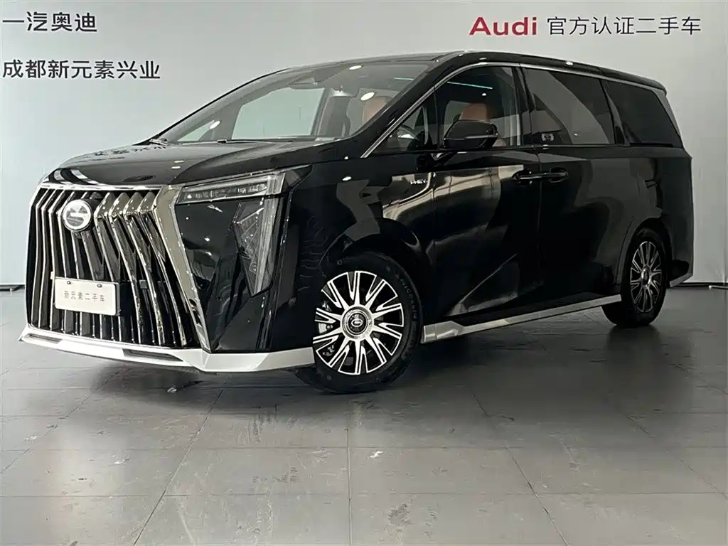 Аукционный лист TRUMPCHI E9 2024